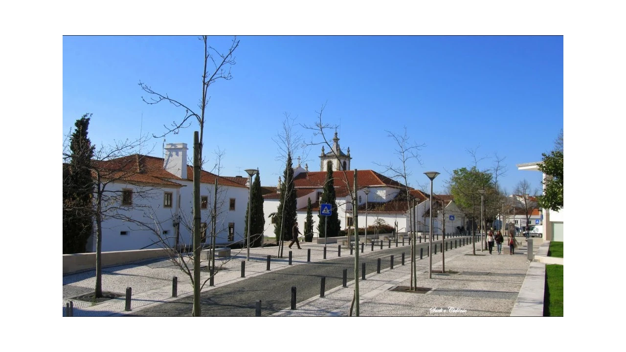 Terreno para Venda em Sebal e Belide Foto 9