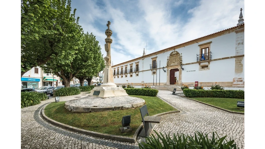 Terreno para Venda em Sebal e Belide Foto 5