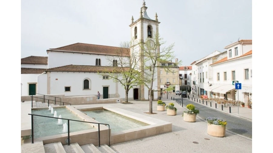 Terreno para Venda em Sebal e Belide Foto 8