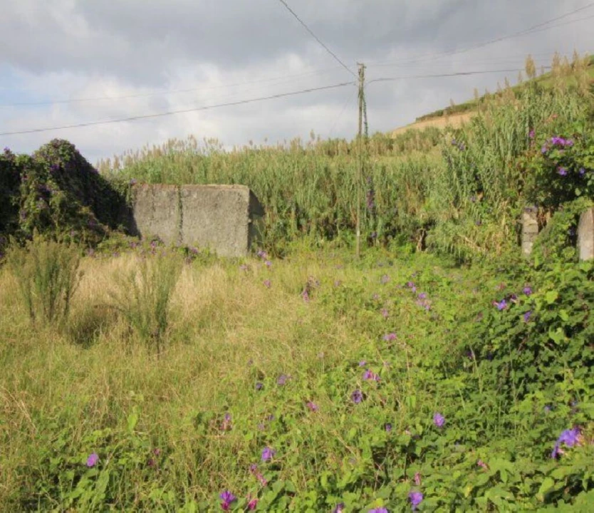 Terreno para Venda em Ginetes Foto 5