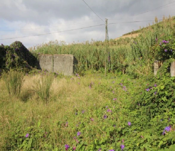 Terreno para Venda em Ginetes Foto 5