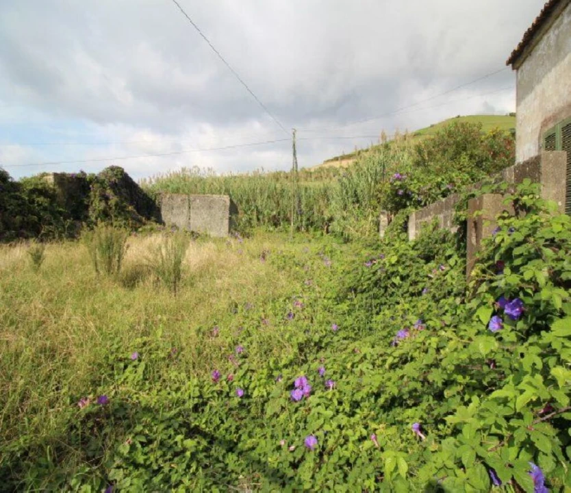 Terreno para Venda em Ginetes Foto 4