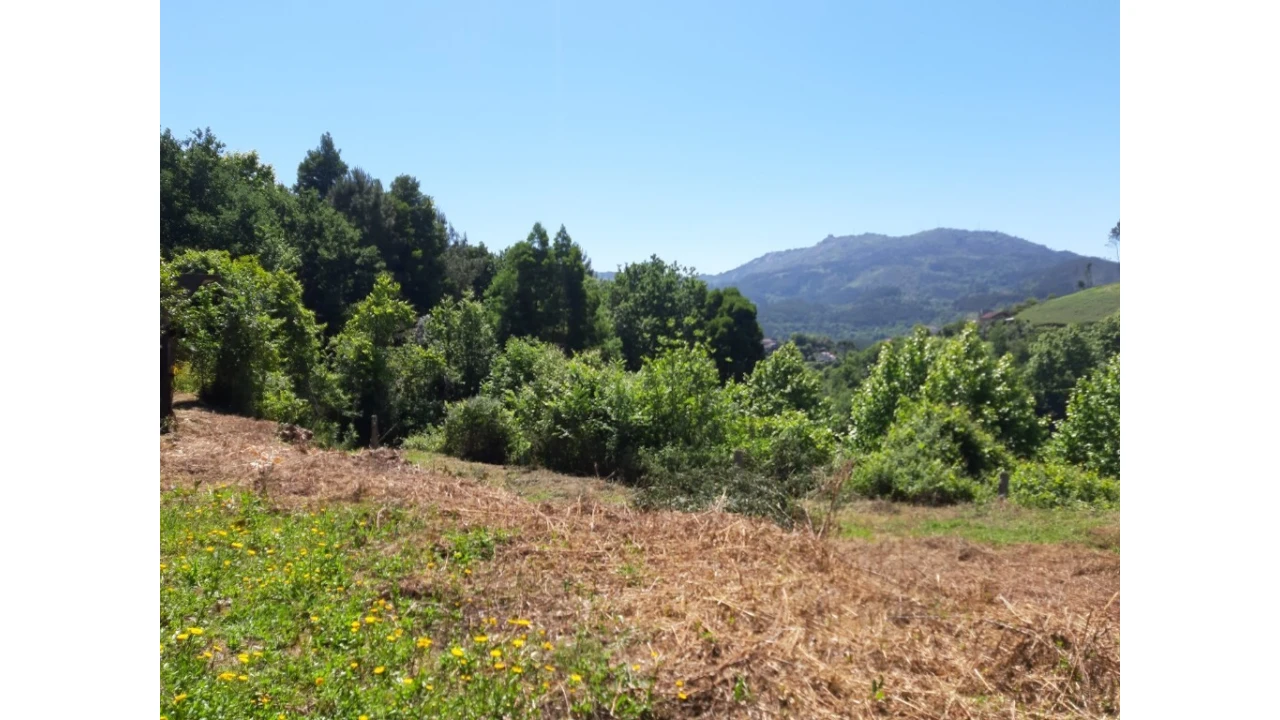 Terreno para Venda em Bouro (Santa Maria) Foto 8