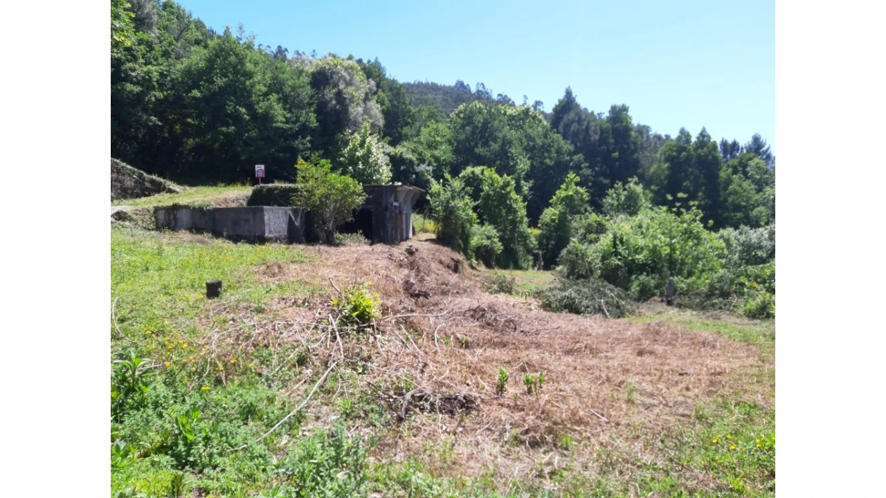 Terreno para Venda em Bouro (Santa Maria) Foto 7
