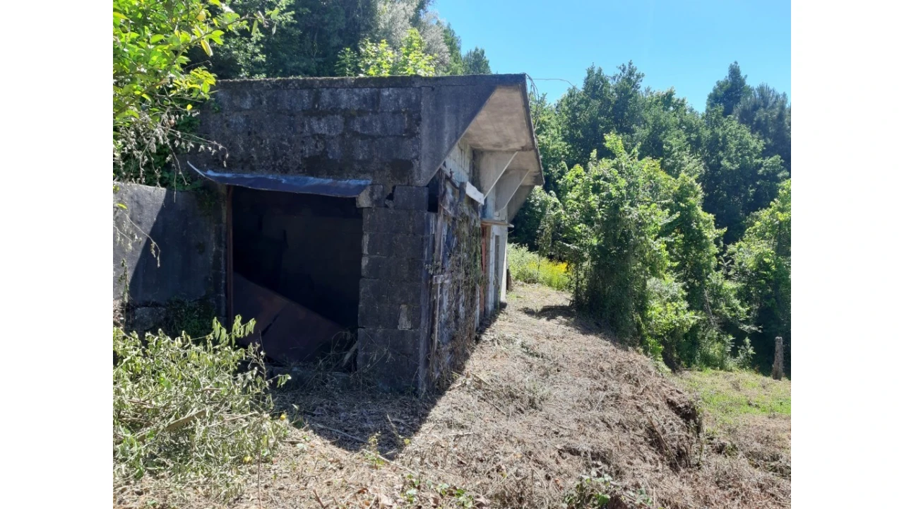 Terreno para Venda em Bouro (Santa Maria) Foto 2