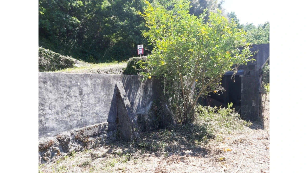 Terreno para Venda em Bouro (Santa Maria) Foto 5
