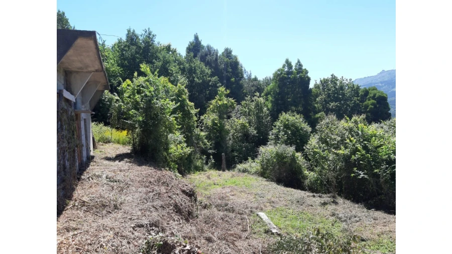 Terreno para Venda em Bouro (Santa Maria) Foto 6