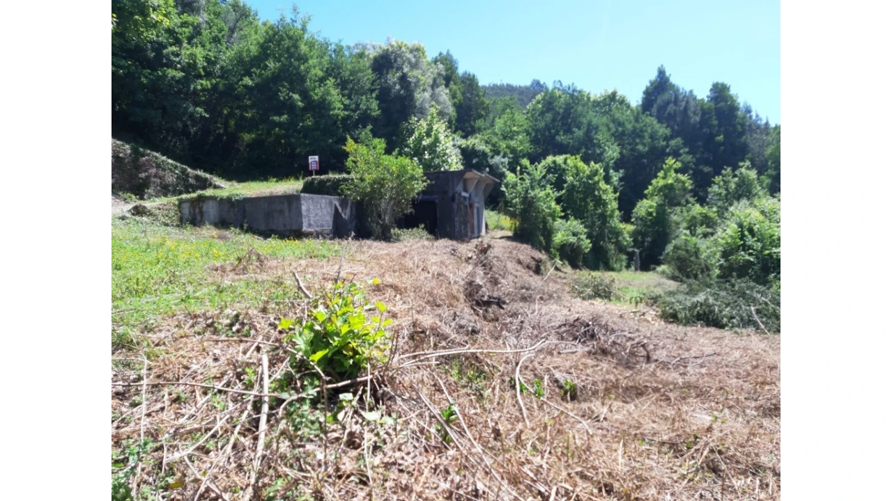Terreno para Venda em Bouro (Santa Maria) Foto 1