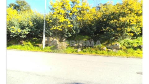 Terreno para Venda em Castelo Branco