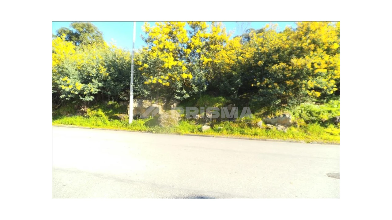 Terreno para Venda em Castelo Branco Foto 1