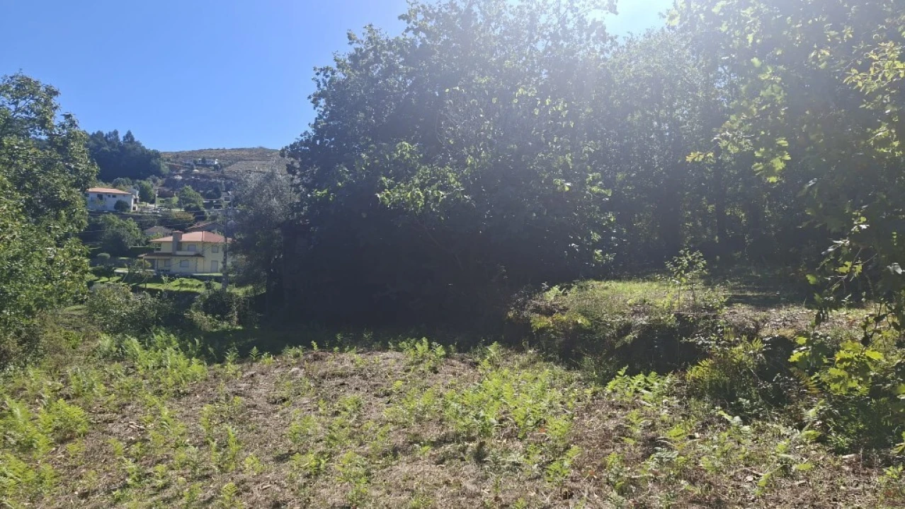 Quinta para Venda em Verim, Friande e Ajude Foto 20