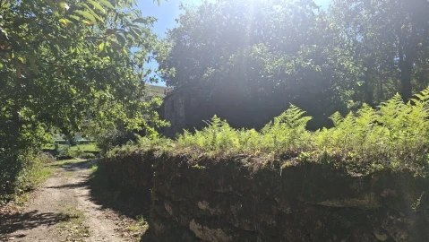 Quinta para Venda em Verim, Friande e Ajude