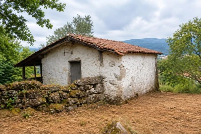 Quinta para Venda em Verim, Friande e Ajude