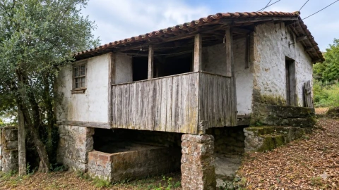Quinta para Venda em Verim, Friande e Ajude