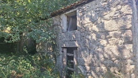 Quinta para Venda em Verim, Friande e Ajude
