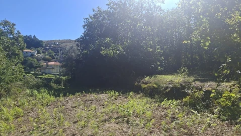 Quinta para Venda em Verim, Friande e Ajude