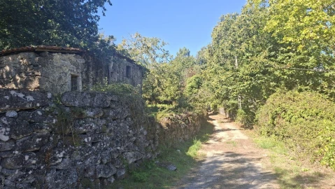 Quinta para Venda em Verim, Friande e Ajude