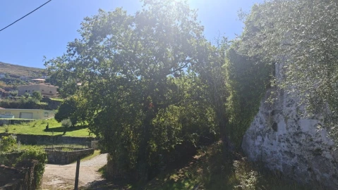 Quinta para Venda em Verim, Friande e Ajude