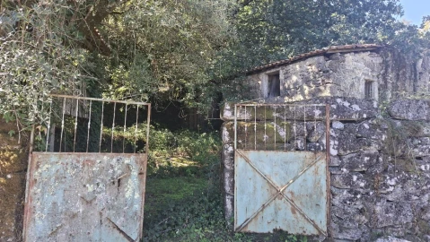 Quinta para Venda em Verim, Friande e Ajude