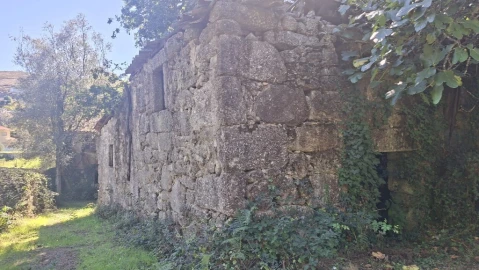 Quinta para Venda em Verim, Friande e Ajude