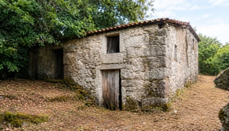 Quinta para Venda em Verim, Friande e Ajude