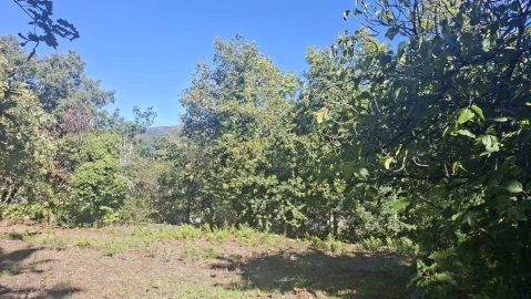 Quinta para Venda em Verim, Friande e Ajude