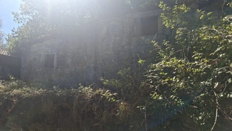 Quinta para Venda em Verim, Friande e Ajude