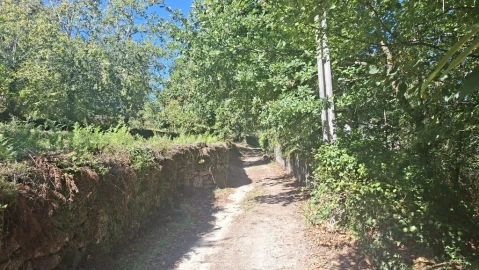 Quinta para Venda em Verim, Friande e Ajude
