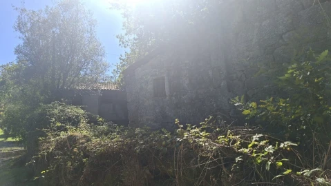 Quinta para Venda em Verim, Friande e Ajude