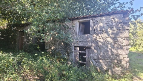 Quinta para Venda em Verim, Friande e Ajude