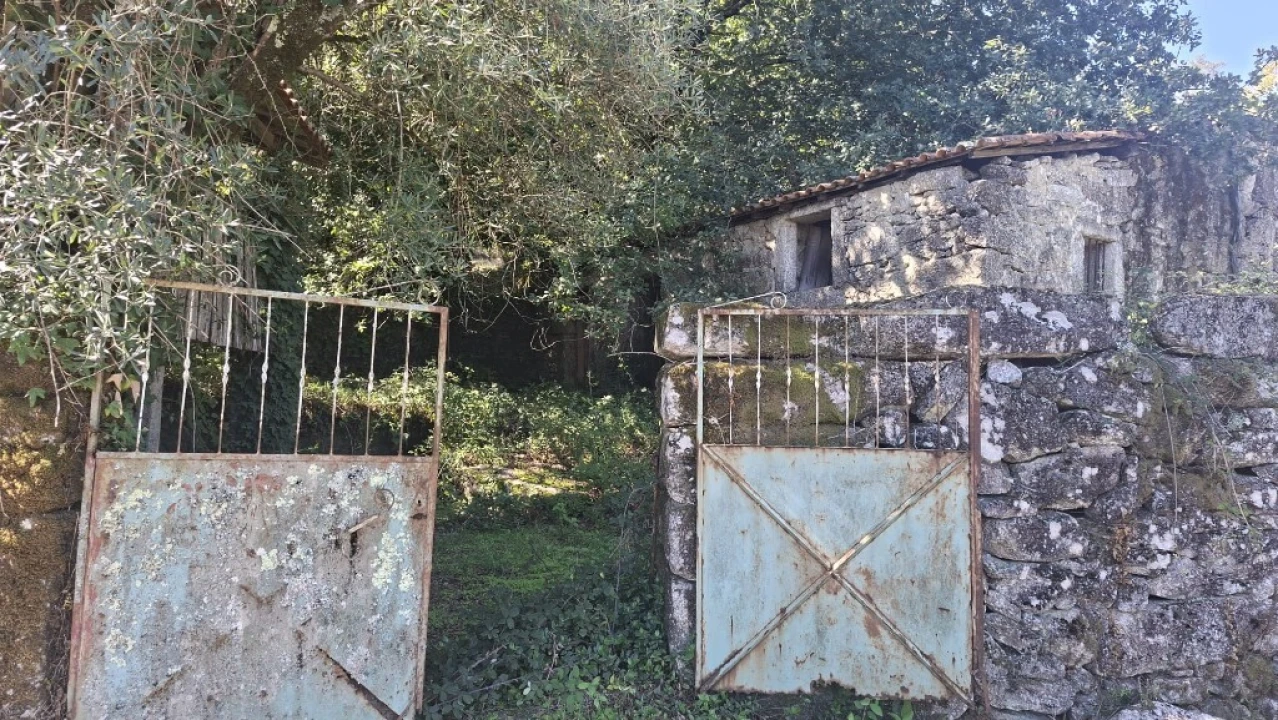 Quinta para Venda em Verim, Friande e Ajude Foto 18
