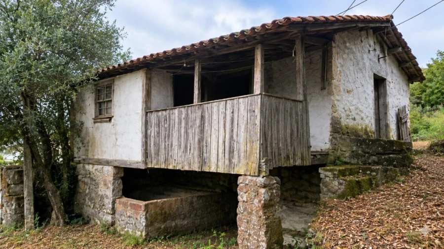 Quinta para Venda em Verim, Friande e Ajude Foto 2