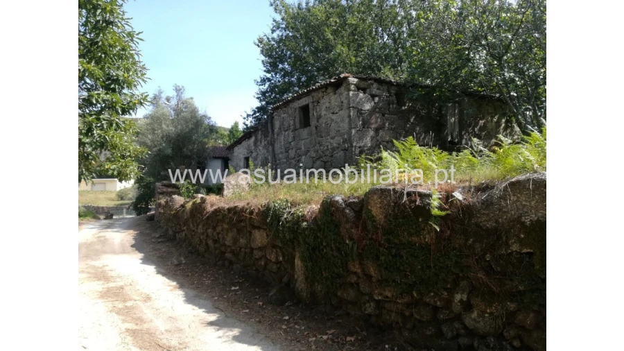 Quinta para Venda em Verim, Friande e Ajude Foto 3