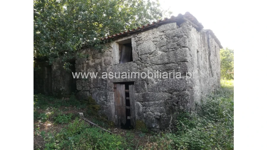 Quinta para Venda em Verim, Friande e Ajude Foto 1