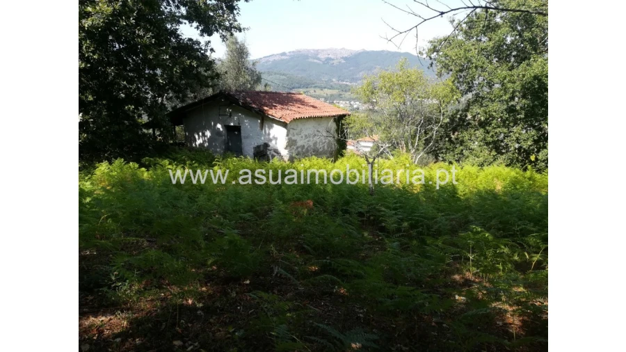 Quinta para Venda em Verim, Friande e Ajude Foto 5