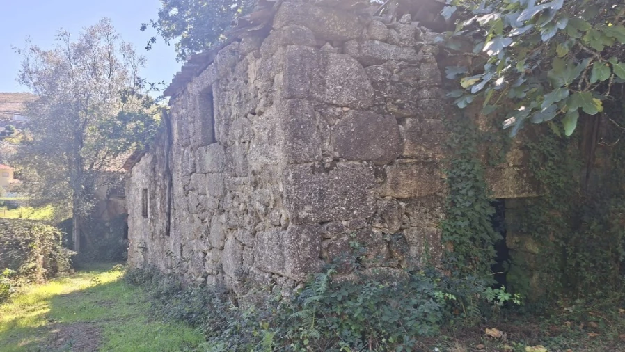 Quinta para Venda em Verim, Friande e Ajude Foto 19