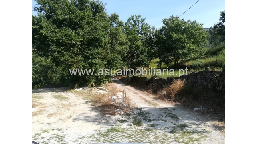 Quinta para Venda em Verim, Friande e Ajude Foto 7