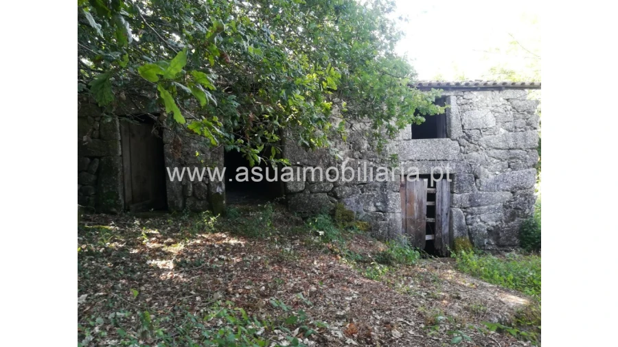 Quinta para Venda em Verim, Friande e Ajude Foto 6
