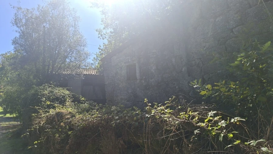 Quinta para Venda em Verim, Friande e Ajude Foto 12