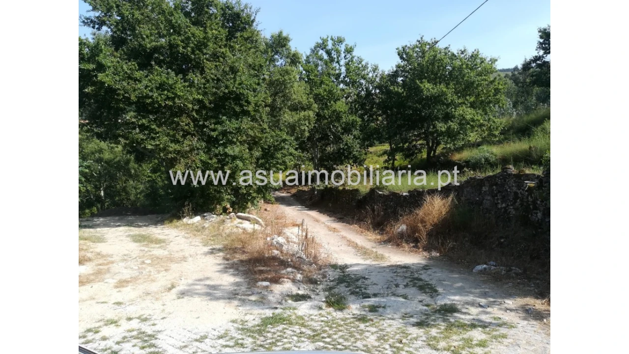 Quinta para Venda em Verim, Friande e Ajude Foto 7