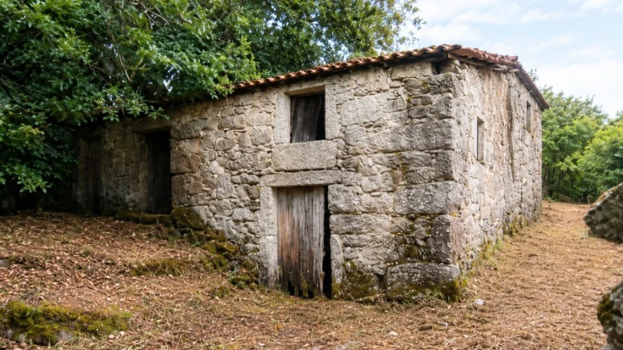 Quinta para Venda em Verim, Friande e Ajude