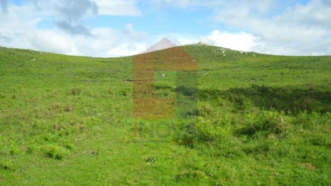 Terreno para Venda em Pico de Regalados, Gondiães e Mós