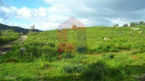 Terreno para Venda em Pico de Regalados, Gondiães e Mós