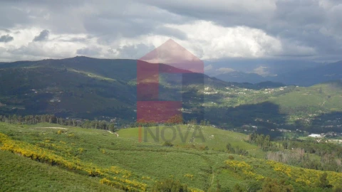 Terreno para Venda em Pico de Regalados, Gondiães e Mós