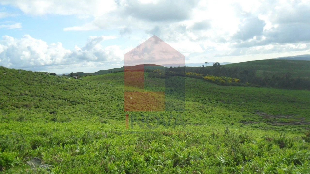 Terreno para Venda em Pico de Regalados, Gondiães e Mós Foto 14