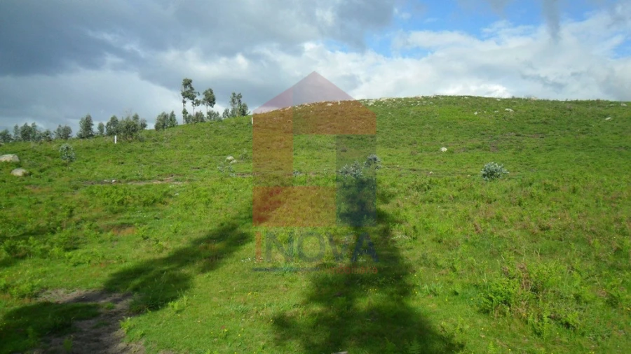 Terreno para Venda em Pico de Regalados, Gondiães e Mós Foto 2