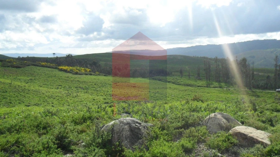 Terreno para Venda em Pico de Regalados, Gondiães e Mós Foto 12