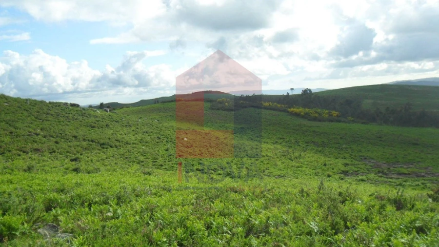 Terreno para Venda em Pico de Regalados, Gondiães e Mós Foto 14