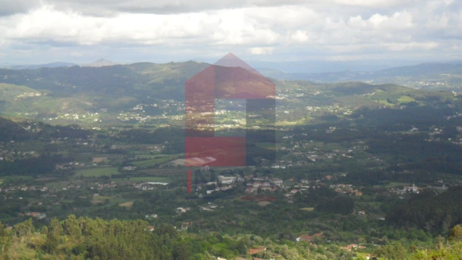 Terreno para Venda em Pico de Regalados, Gondiães e Mós Foto 9