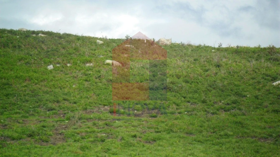 Terreno para Venda em Pico de Regalados, Gondiães e Mós Foto 7